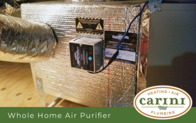 The Importance of Air Purifiers